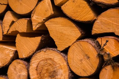 Ağaç kerestesi kes. Kesilmiş bir ağacın arka plan görüntüsü. Odun kütükleri yığını. Doğal ahşap arka plan.