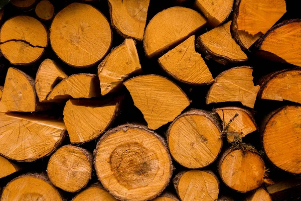 Cut Tree Timber Background Image Cut Tree Pile Wood Logs — Stock Photo, Image