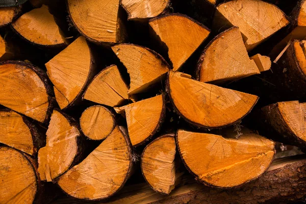 Cut Tree Timber Background Image Cut Tree Pile Wood Logs — Stock Photo, Image