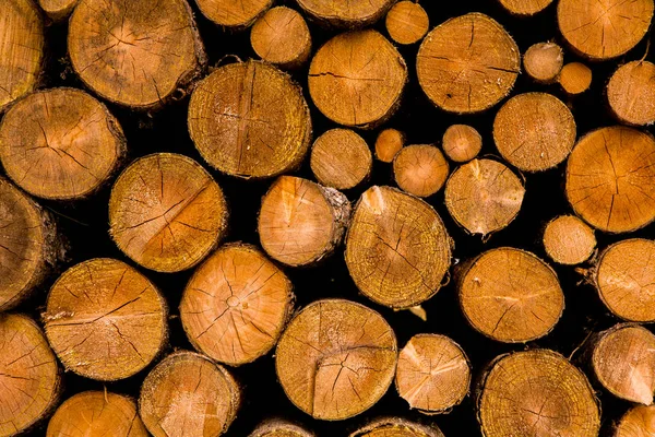 Cut Tree Timber Background Image Cut Tree Pile Wood Logs — Stock Photo, Image