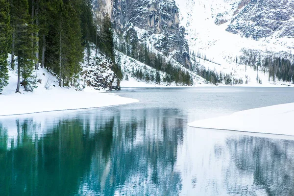 阿尔卑斯山美丽的山湖景观 多洛米蒂山脉的布莱斯湖 湖四周环绕着森林 意大利 拉戈迪布莱斯 — 图库照片