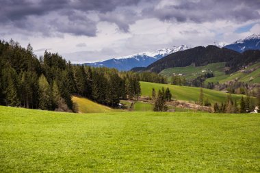 İlkbaharda güzel güneşli bir günde çiçek açan taze yeşil çayırları ile Alpler'de güzel dağ manzarası. İtalya'da Dolomiti montains. Avrupa'da ilkbaharda peyzaj.