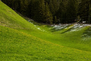 İlkbaharda güzel güneşli bir günde çiçek açan taze yeşil çayırları ile Alpler'de güzel dağ manzarası. İtalya'da Dolomiti montains. Avrupa'da ilkbaharda peyzaj.