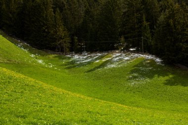 İlkbaharda güzel güneşli bir günde çiçek açan taze yeşil çayırları ile Alpler'de güzel dağ manzarası. İtalya'da Dolomiti montains. Avrupa'da ilkbaharda peyzaj.