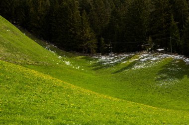 İlkbaharda güzel güneşli bir günde çiçek açan taze yeşil çayırları ile Alpler'de güzel dağ manzarası. İtalya'da Dolomiti montains. Avrupa'da ilkbaharda peyzaj.
