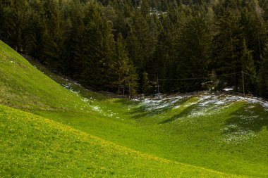 İlkbaharda güzel güneşli bir günde çiçek açan taze yeşil çayırları ile Alpler'de güzel dağ manzarası. İtalya'da Dolomiti montains. Avrupa'da ilkbaharda peyzaj.