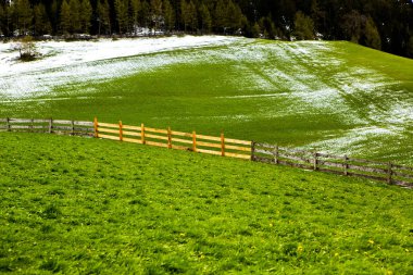 İlkbaharda güzel güneşli bir günde çiçek açan taze yeşil çayırları ile Alpler'de güzel dağ manzarası. İtalya'da Dolomiti montains. Avrupa'da ilkbaharda peyzaj.