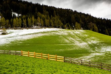 İlkbaharda güzel güneşli bir günde çiçek açan taze yeşil çayırları ile Alpler'de güzel dağ manzarası. İtalya'da Dolomiti montains. Avrupa'da ilkbaharda peyzaj.