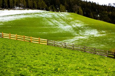 İlkbaharda güzel güneşli bir günde çiçek açan taze yeşil çayırları ile Alpler'de güzel dağ manzarası. İtalya'da Dolomiti montains. Avrupa'da ilkbaharda peyzaj.