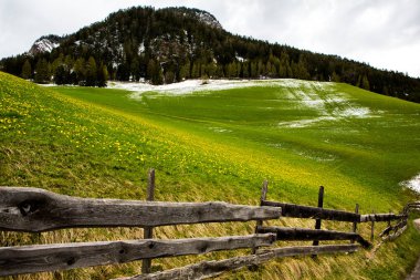 İlkbaharda güzel güneşli bir günde çiçek açan taze yeşil çayırları ile Alpler'de güzel dağ manzarası. İtalya'da Dolomiti montains. Avrupa'da ilkbaharda peyzaj.