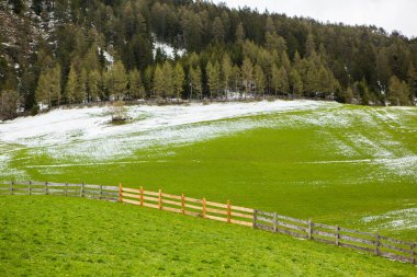 İlkbaharda güzel güneşli bir günde çiçek açan taze yeşil çayırları ile Alpler'de güzel dağ manzarası. İtalya'da Dolomiti montains. Avrupa'da ilkbaharda peyzaj.