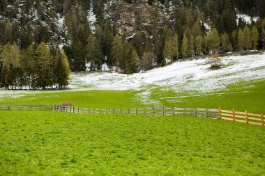 İlkbaharda güzel güneşli bir günde çiçek açan taze yeşil çayırları ile Alpler'de güzel dağ manzarası. İtalya'da Dolomiti montains. Avrupa'da ilkbaharda peyzaj.