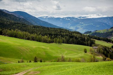 İlkbaharda güzel güneşli bir günde çiçek açan taze yeşil çayırları ile Alpler'de güzel dağ manzarası. İtalya'da Dolomiti montains. Avrupa'da ilkbaharda peyzaj.