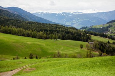 İlkbaharda güzel güneşli bir günde çiçek açan taze yeşil çayırları ile Alpler'de güzel dağ manzarası. İtalya'da Dolomiti montains. Avrupa'da ilkbaharda peyzaj.