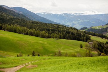 İlkbaharda güzel güneşli bir günde çiçek açan taze yeşil çayırları ile Alpler'de güzel dağ manzarası. İtalya'da Dolomiti montains. Avrupa'da ilkbaharda peyzaj.