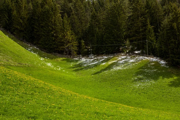 İlkbaharda güzel güneşli bir günde çiçek açan taze yeşil çayırları ile Alpler'de güzel dağ manzarası. İtalya'da Dolomiti montains. Avrupa'da ilkbaharda peyzaj.