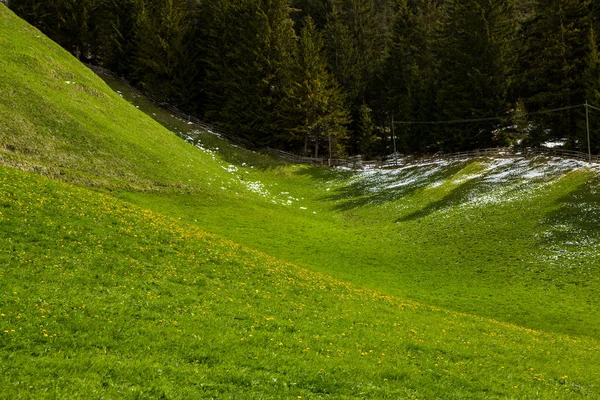 İlkbaharda güzel güneşli bir günde çiçek açan taze yeşil çayırları ile Alpler'de güzel dağ manzarası. İtalya'da Dolomiti montains. Avrupa'da ilkbaharda peyzaj.