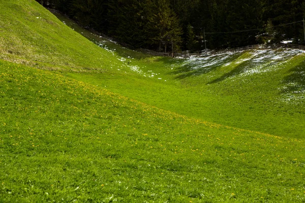 İlkbaharda güzel güneşli bir günde çiçek açan taze yeşil çayırları ile Alpler'de güzel dağ manzarası. İtalya'da Dolomiti montains. Avrupa'da ilkbaharda peyzaj.