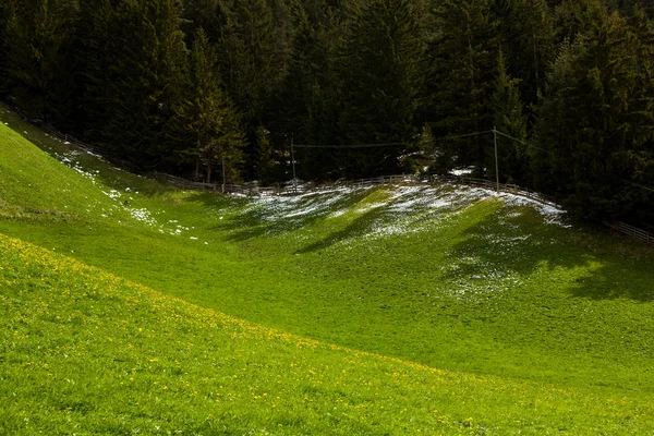 İlkbaharda güzel güneşli bir günde çiçek açan taze yeşil çayırları ile Alpler'de güzel dağ manzarası. İtalya'da Dolomiti montains. Avrupa'da ilkbaharda peyzaj.