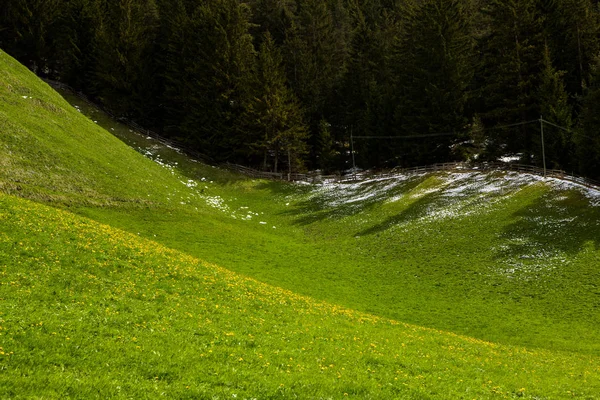 春の晴れた日に咲く新緑の草原とアルプスの美しい山の風景 イタリアのドロミティ モンタン ヨーロッパの春の風景 — ストック写真
