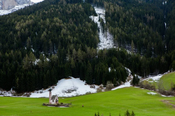 Όμορφο Ορεινό Τοπίο Στις Άλπεις Φρέσκα Πράσινα Λιβάδια Ανθίζουν Μια — Φωτογραφία Αρχείου