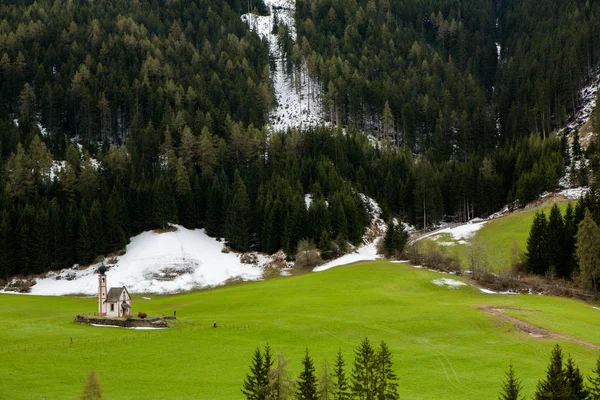 Hermoso Paisaje Montaña Los Alpes Con Prados Verdes Frescos Flor — Foto de Stock