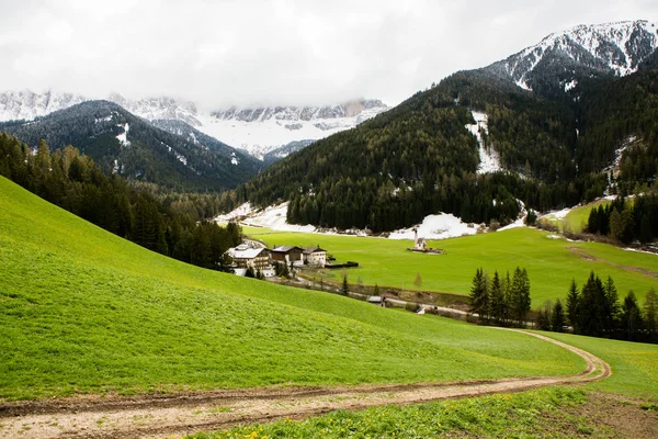 Nádherná Horská Krajina Alpách Čerstvými Zelenými Loukami Kvetou Nádherném Slunném — Stock fotografie