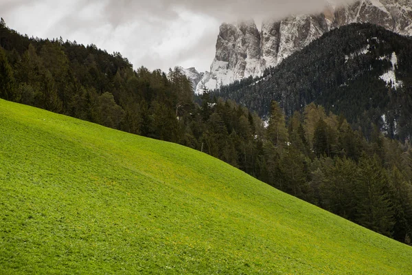 Bellissimo Paesaggio Montano Nelle Alpi Con Prati Verdi Freschi Fiore — Foto Stock