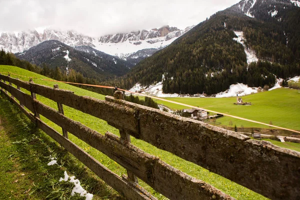 Прекрасные Горные Пейзажи Альпах Свежими Зелеными Лугами Расцветают Прекрасный Солнечный — стоковое фото