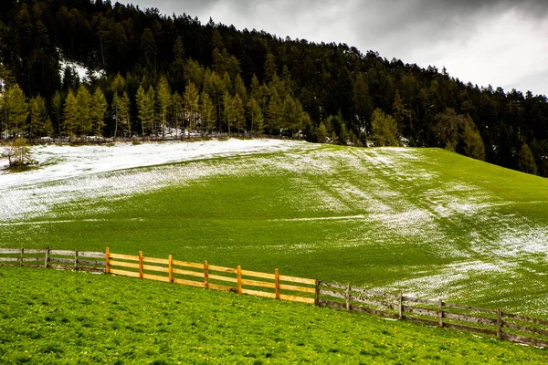 Nádherná Horská Krajina Alpách Čerstvými Zelenými Loukami Kvetou Nádherném Slunném — Stock fotografie