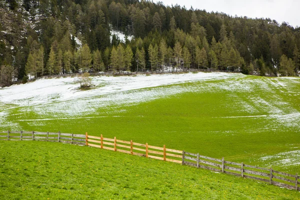 春の晴れた日に咲く新緑の草原とアルプスの美しい山の風景 イタリアのドロミティ モンタン ヨーロッパの春の風景 — ストック写真