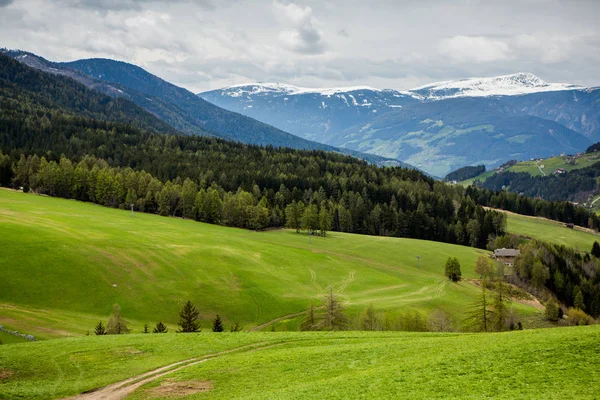İlkbaharda güzel güneşli bir günde çiçek açan taze yeşil çayırları ile Alpler'de güzel dağ manzarası. İtalya'da Dolomiti montains. Avrupa'da ilkbaharda peyzaj.