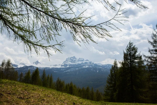Bellissimo Paesaggio Montano Nelle Alpi Con Prati Verdi Freschi Fiore — Foto Stock