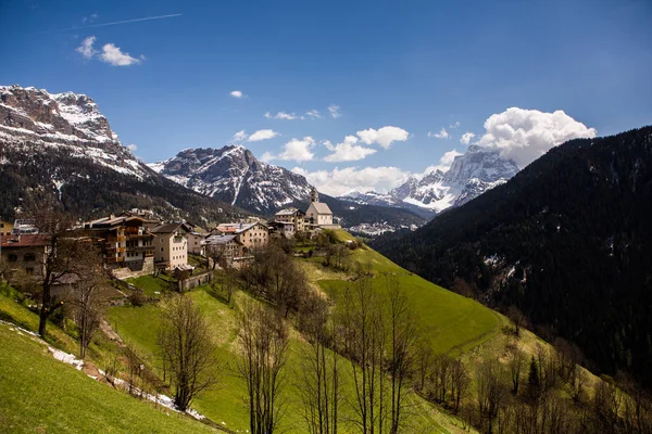 Hermoso Paisaje Montaña Los Alpes Con Prados Verdes Frescos Flor — Foto de Stock