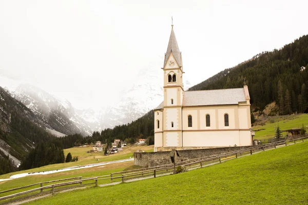 Bela Paisagem Montanhosa Nos Alpes Com Prados Verdes Frescos Flor — Fotografia de Stock