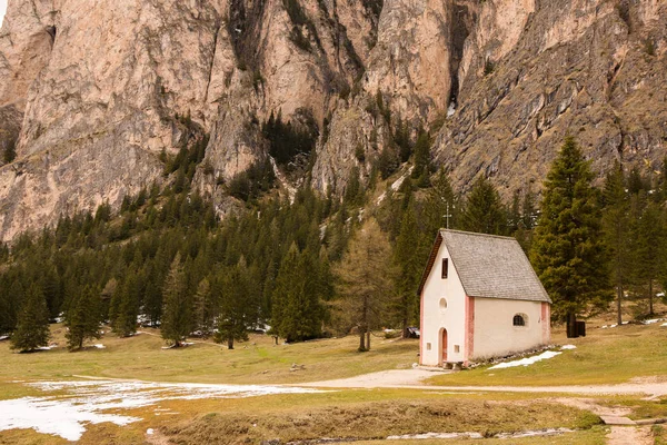 Schöne Berglandschaft Den Alpen Mit Frischen Grünen Wiesen Voller Blüte — Stockfoto