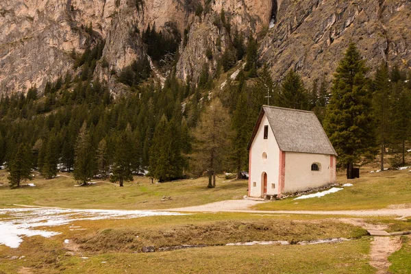 Schöne Berglandschaft Den Alpen Mit Frischen Grünen Wiesen Voller Blüte — Stockfoto