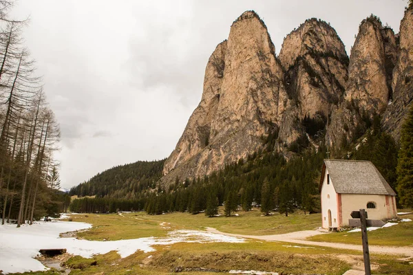 Bela Paisagem Montanhosa Nos Alpes Com Prados Verdes Frescos Flor — Fotografia de Stock