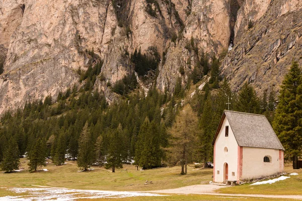 Bela Paisagem Montanhosa Nos Alpes Com Prados Verdes Frescos Flor — Fotografia de Stock