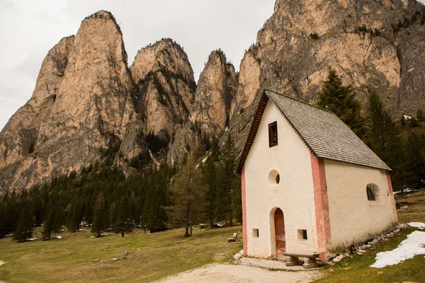 Bela Paisagem Montanhosa Nos Alpes Com Prados Verdes Frescos Flor — Fotografia de Stock