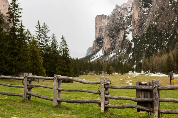 Bela Paisagem Montanhosa Nos Alpes Com Prados Verdes Frescos Flor — Fotografia de Stock