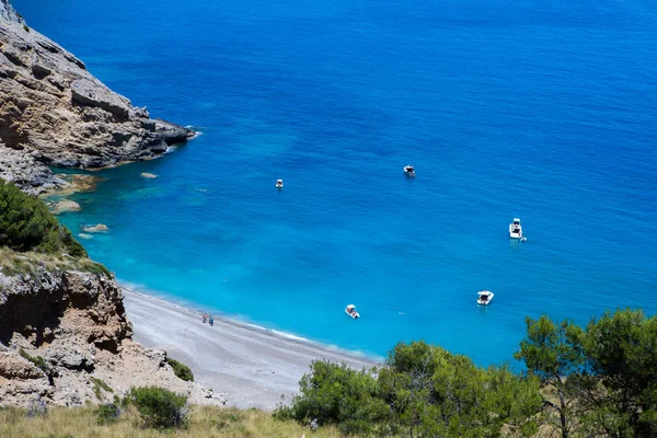 Coll Baix Strand Alcudia Öbölben Spanyolországi Mallorcai Balearic Szigeteken Trópusi — Stock Fotó