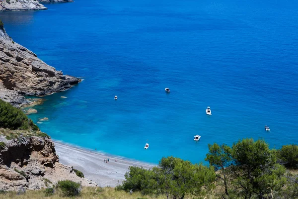 Coll Baix Plaży Zatoce Alcudia Majorce Balearów Hiszpanii Tropikalny Raj — Zdjęcie stockowe