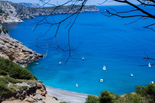 Coll Baix Beach Baai Van Alcudia Mallorca Balearen Van Spanje — Stockfoto