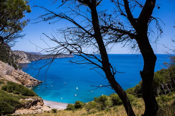 Coll Baix Beach Baai Van Alcudia Mallorca Balearen Van Spanje — Stockfoto