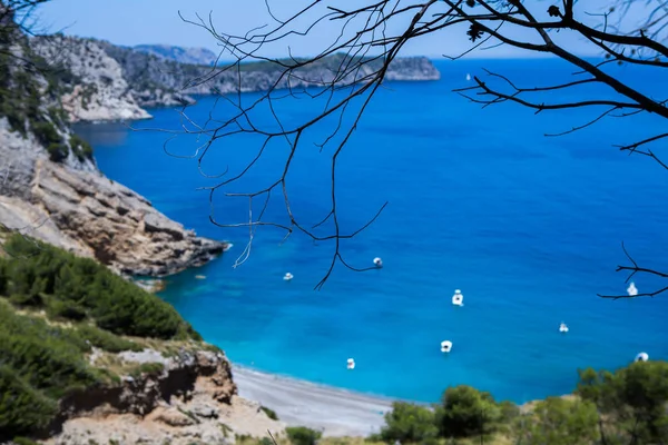 Coll Baix Beach Baai Van Alcudia Mallorca Balearen Van Spanje — Stockfoto