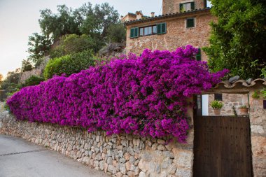Mayorka Tramuntana dağ Balear İspanya.Beautiful köy Mallorca Deia de Deia de Deia geleneksel taş köy