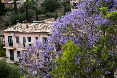 Mayorka Tramuntana dağ Balear İspanya.Beautiful köy Mallorca Deia de Deia de Deia geleneksel taş köy