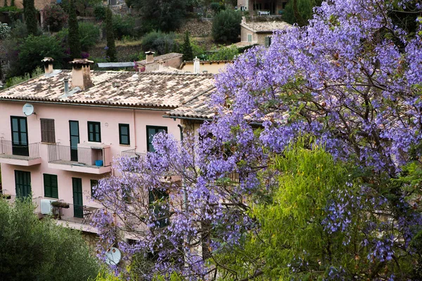 Deia Tradizionale Villaggio Pietra Maiorca Tramuntana Montagna Baleari Spagna Bellissimo — Foto Stock