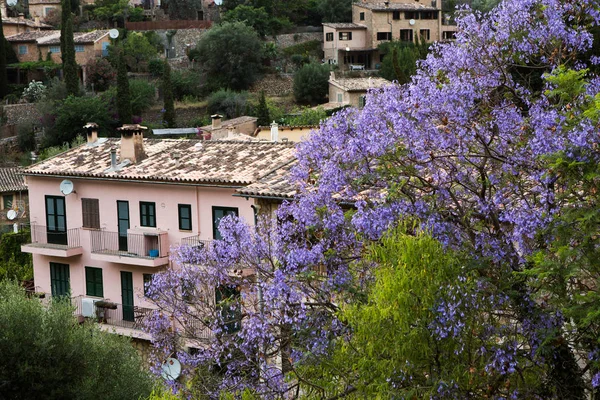 Mayorka Tramuntana Dağ Balear Spanya Beautiful Köy Mallorca Deia Deia — Stok fotoğraf